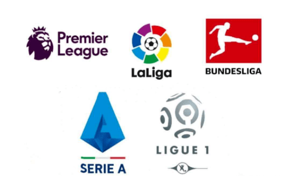 全面解读它 全面解读它